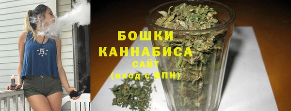 гидра Бердск