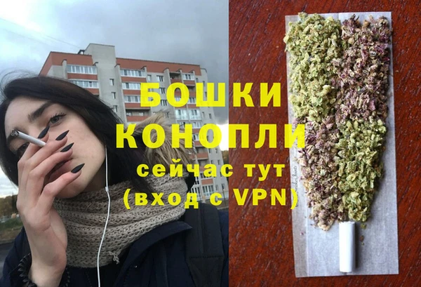 дживик Мегион