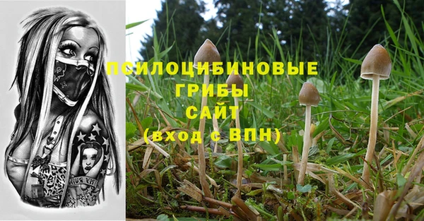 прущий лед Медногорск