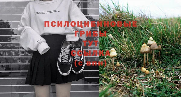 тгк Богданович