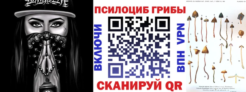 Галлюциногенные грибы GOLDEN TEACHER  что такое   Вытегра 
