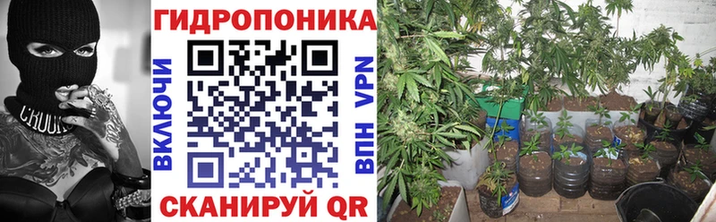 Конопля THC 21%  Вытегра 